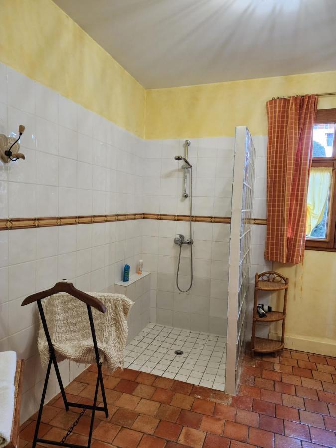 Manoir De La Maison Blanche Амбоаз Екстериор снимка